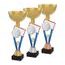 Akrylátová trofej ACUPGOLD M23 | Florbal
