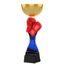 Akrylátová trofej ACUPCGMINIM35 | Bojová umění