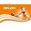 Diplom DP0031 | Fotbal