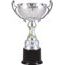 Pokal STANDARD S0129