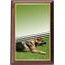 Plakette PLP3M33 | Kynologie