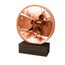 Holztafel TFRW796 | Biathlon