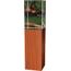 Glastrophäe -Holz-Glas kombination CR4021M18 | Kynologie