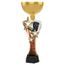 Akrylátová trofej ASTARCUPM06 | Střelba