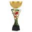 Akrylátová trofej ASTARCUPMINIM09 | Americký fotbal