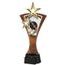 Akrylátová trofej ASTAR001M29 | Střelba
