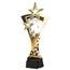 Akrylátová trofej ASTARN001M14 | Karty