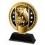 Kovová trofej SAMR03M25 | Rybaření