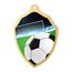 Metallmedaille MDM02M01 | Fußball