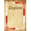 Diplom DP0042