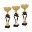 Akrylátová trofej ACUPGOLD M52 | Hasiči