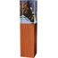 Glastrophäe -Holz-Glas kombination CR4021M16 | Reitsport