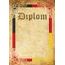 Diplom DP0041