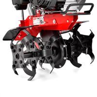 HECHT 784 - Motocultor