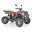 ATV-uri, buggy-uri, motociclete