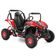 HECHT 54849 RED - Buggy pe acumulator