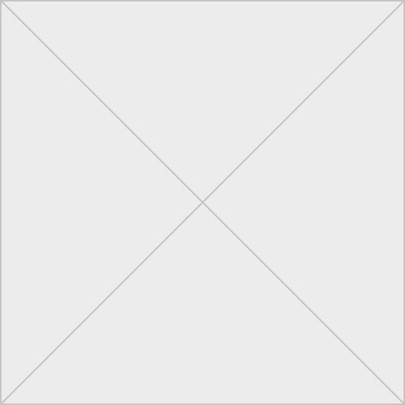 001176660 - SMIRGHEL PENTRU HECHT 1766 (10 BUC/PACHET) 60