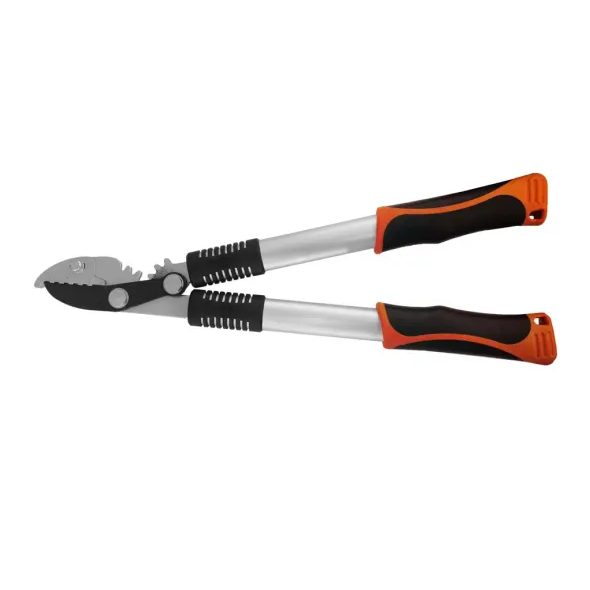 020ASGHJ2 - FOARFECE DE CRENGI CU PÂRGHIE