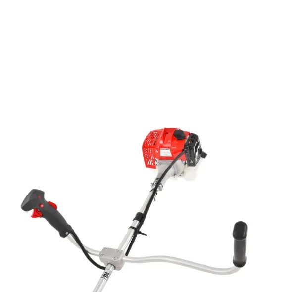 HECHT 129 BTS - MOTOCOSITOARE