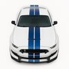 Kapota Ford Mustang Shelby GT350 (2015 - 2017)