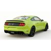 Zadní křídlo / spoiler kufru Ford Mustang GT350 (2015 - 2023)