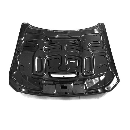 Kapota Ford Mustang Shelby GT350 (2015 - 2017)