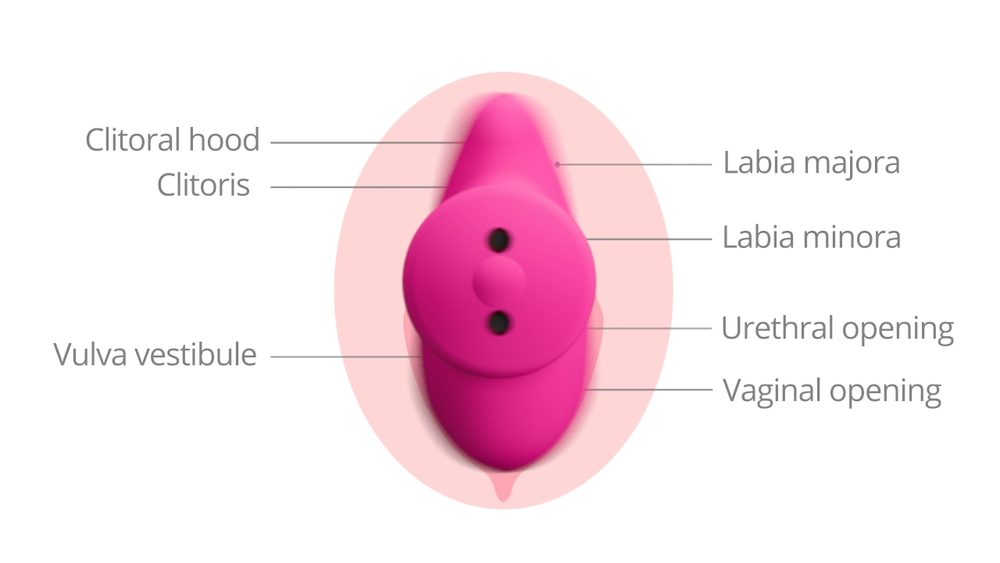 Lovense Ambi (obrázek 6)