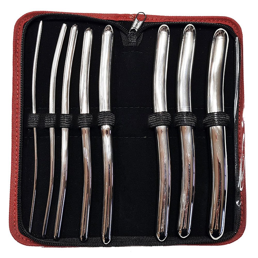 E-shop Rouge Stainless Steel 8 Piece Hegar Dilator Set