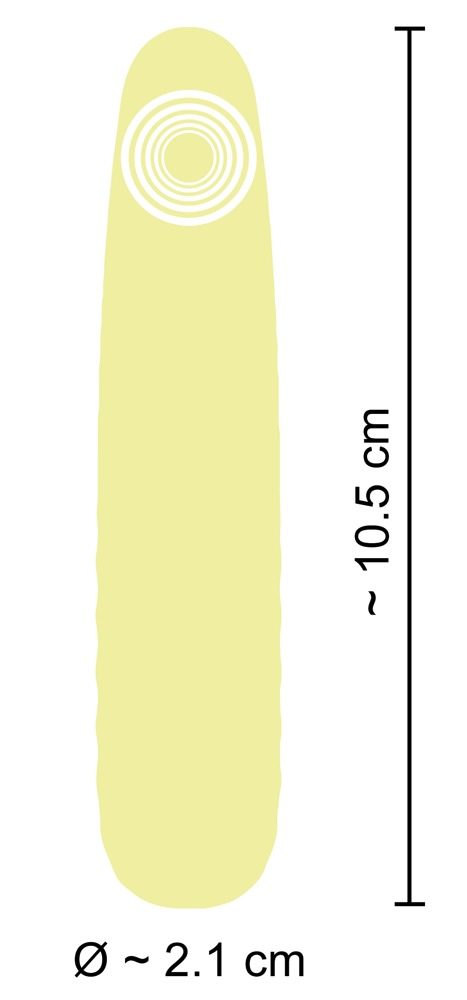 Cuties Mini Vibe Yellow 5.G (obrázek 3)