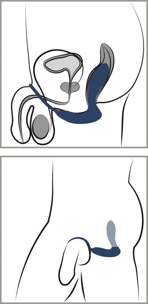 You2Toys Vibrating Prostate Plug with Cock Ring (obrázek 8)