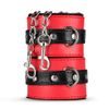 Комплект за BDSM Secret Pleasure Chest