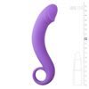 EasyToys Silicone Curved Dong fialový masér prostaty