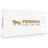 Feminus Doplněk stravy 60 tablet