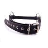 Rouge O-Ring Rubber Rod Gag