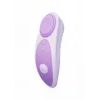 Lovense Ferri Reserve Panty Vibrator Purple