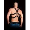 Ouch! Andraes Masculine Masterpiece Harness