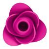 SATISFYER Pro 2 Modern Blossom ružový