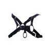 H4RNESS by C4M Party Black Harness