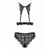 Obsessive Renelia 2-piece Lace Bra Set