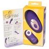 Sweet Smile Remote Controlled Panty Vibrator