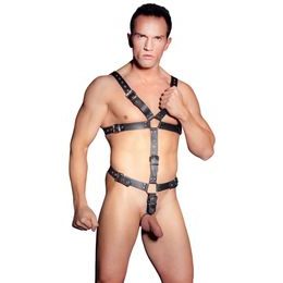 Zado Harness