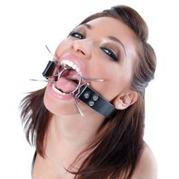 Fetish Fantasy Extreme Spider Gag