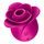 SATISFYER Pro 2 Modern Blossom ružový