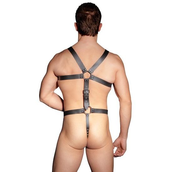 Zado Harness