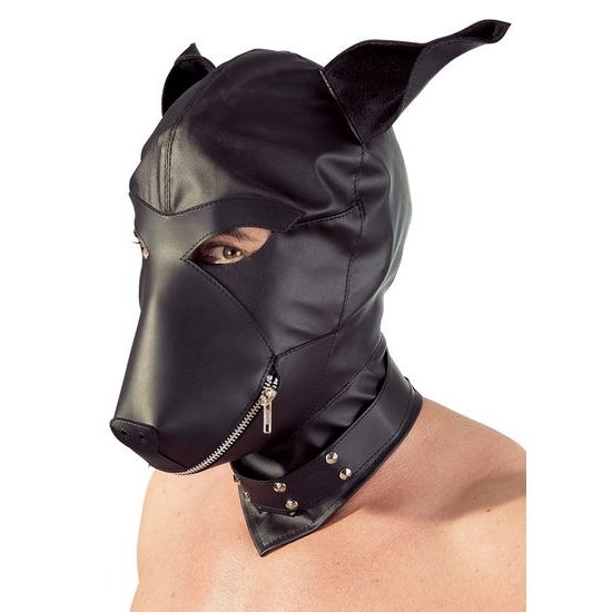 Mask dog