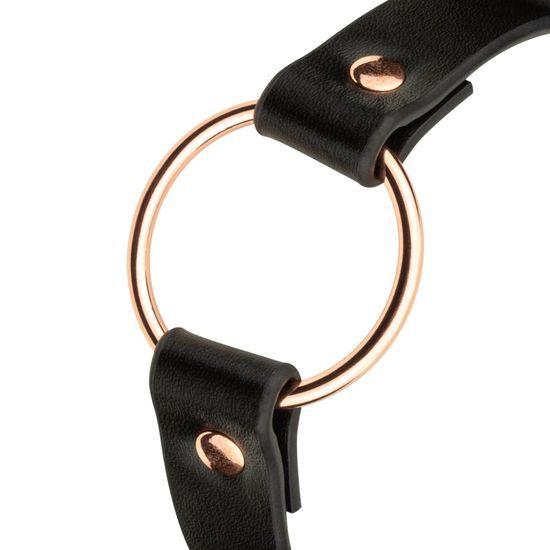 Obojek Rosy Gold Choker černý