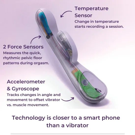 Lioness The Lioness Vibrator 2.0 Purple