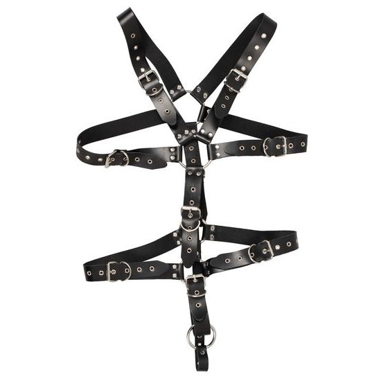 Zado Harness