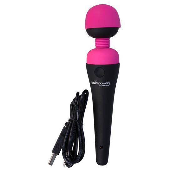 PalmPower Recharge Wand Massager