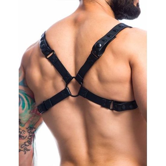 H4RNESS by C4M Party Black Harness